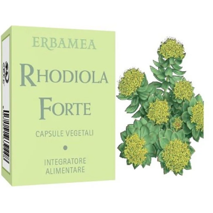 epharmacy1321788