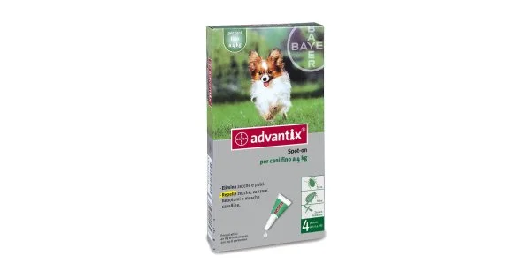 farma-web1125938