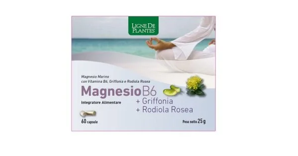 farma-web1221682