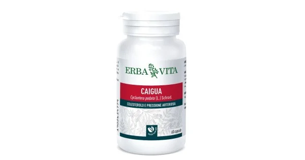 farmaciagaudiana1374078