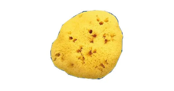 farmaciagaudiana1452112