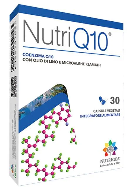 lovesano-11183220