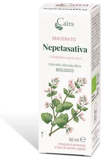lovesano-11224855