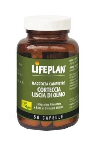 lovesano-11230158