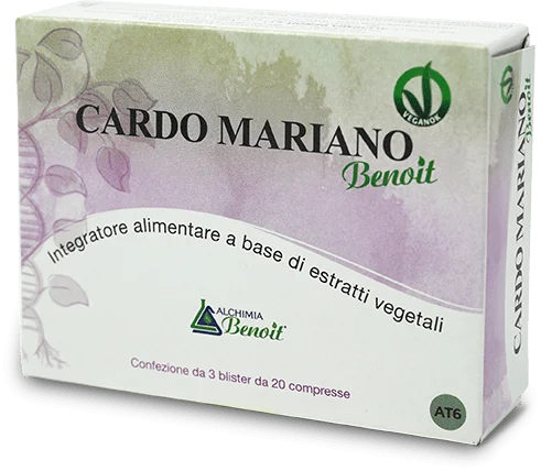 lovesano-11301060