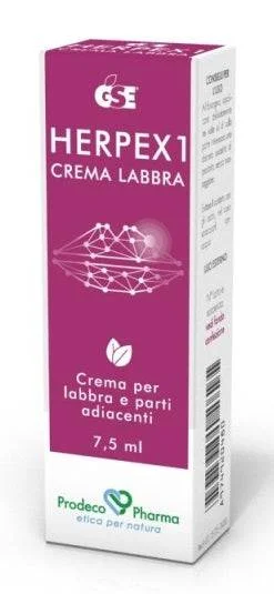 lovesano-11304203