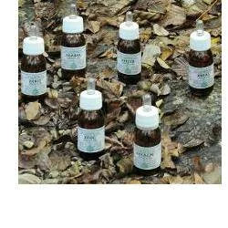 lovesano-11373201