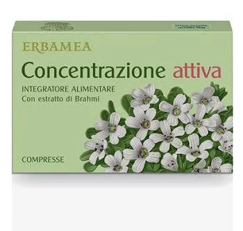 lovesano-11382139