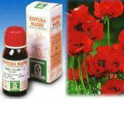 lovesano-11401710