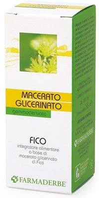 lovesano-11447303