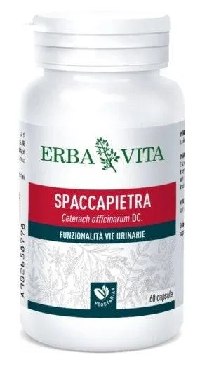 lovesano-11472401