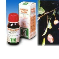lovesano-21365589