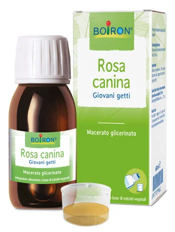 lovesano-21369250