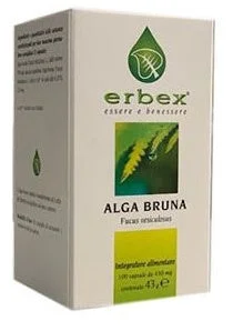 lovesano-21471795