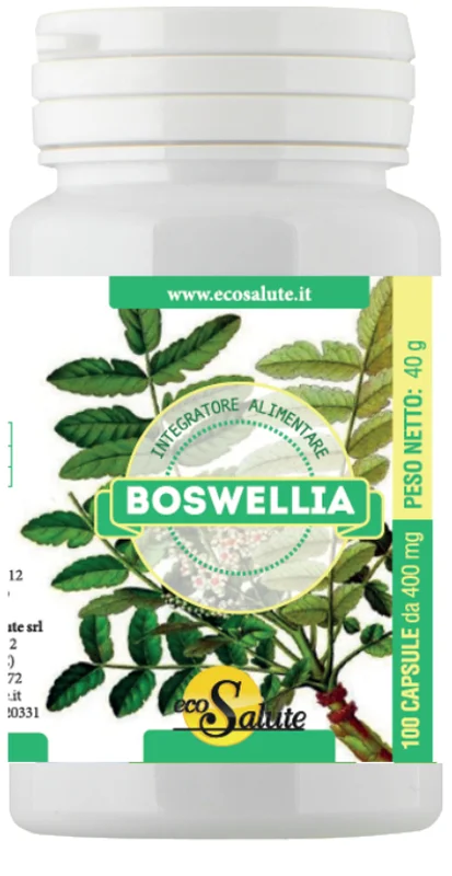 lovesano-31326565