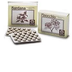 lovesano-31327331