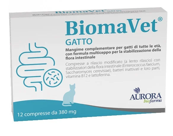 lovesano-31404873