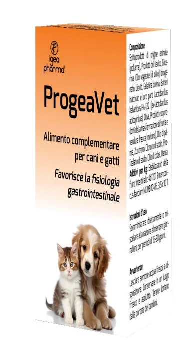 lovesano-31477868