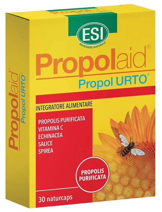 lovesano1164966