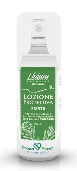 lovesano1209602