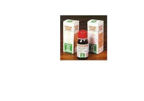 pharmasi-11260647