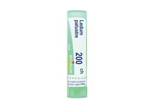 pharmasi-11278011