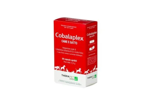 pharmasi1326059