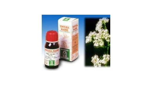pharmasi1333627