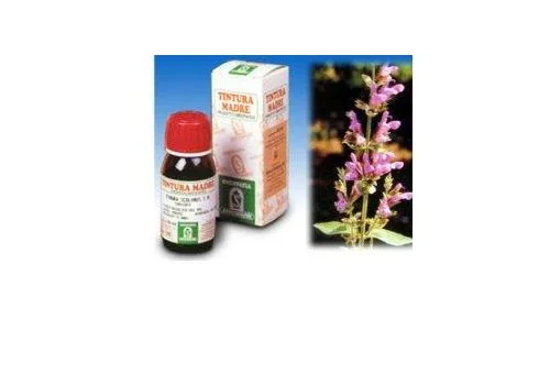 pharmasi1420314